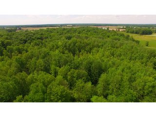 Noble County, Indiana farmland - REAL ESTATE AUCTION - 70+/- ACRES OFFERED IN 3 TRACTS IN NOBLE COUNTY, INDIANA